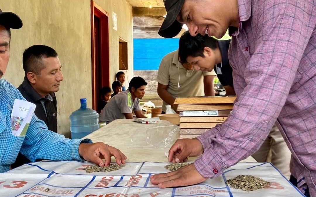 tzeltales de Chiapas