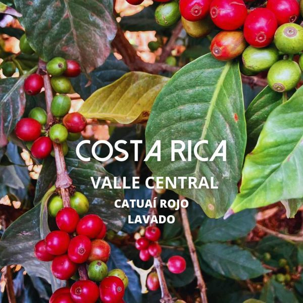 CAFÉ COSTA RICA FORTÍN