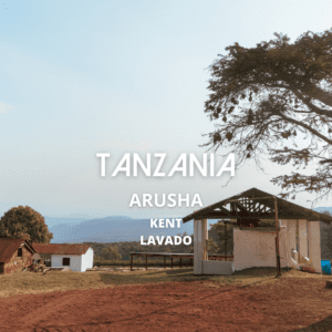 Café Acacia de Tanzania