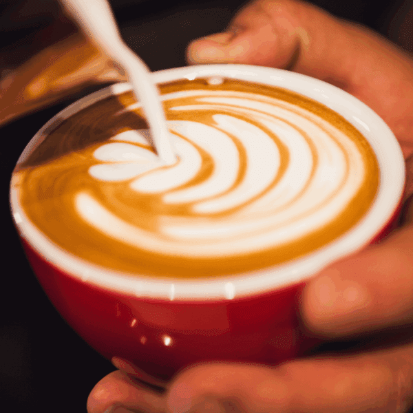 Barismo para trabajar