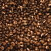 Café caracolillo Kenia Pibe